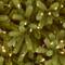 6.5 Ft. Pre-Lit Feel Real® Jersey Fraser Fir Pencil Slim Artificial Christmas Tree, Clear Lights